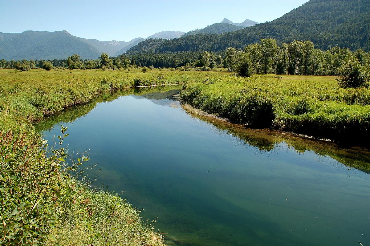 A bend in the Bull River located in Montana, with blue water and green grass on either side