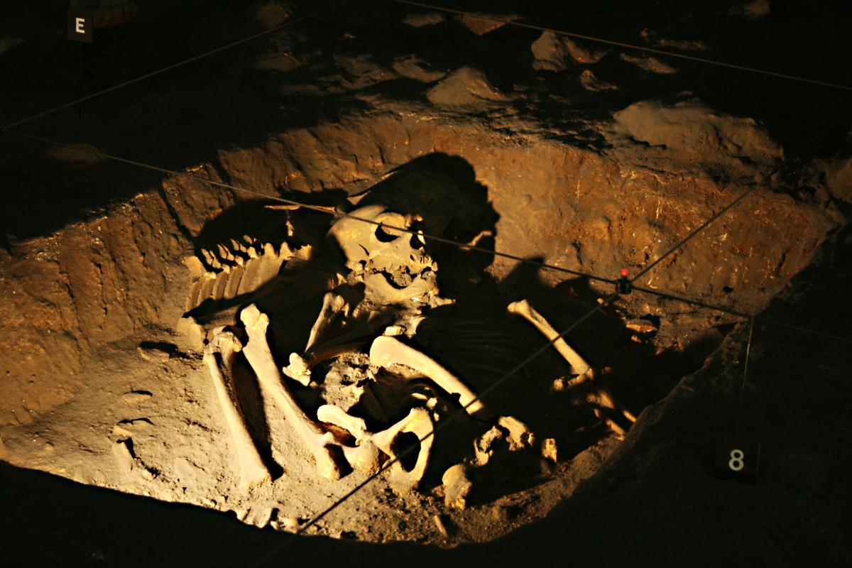 Unearthed Skeleton