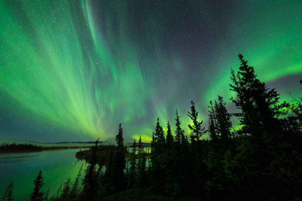 A solar storm, or aurora, flashes green above treetops