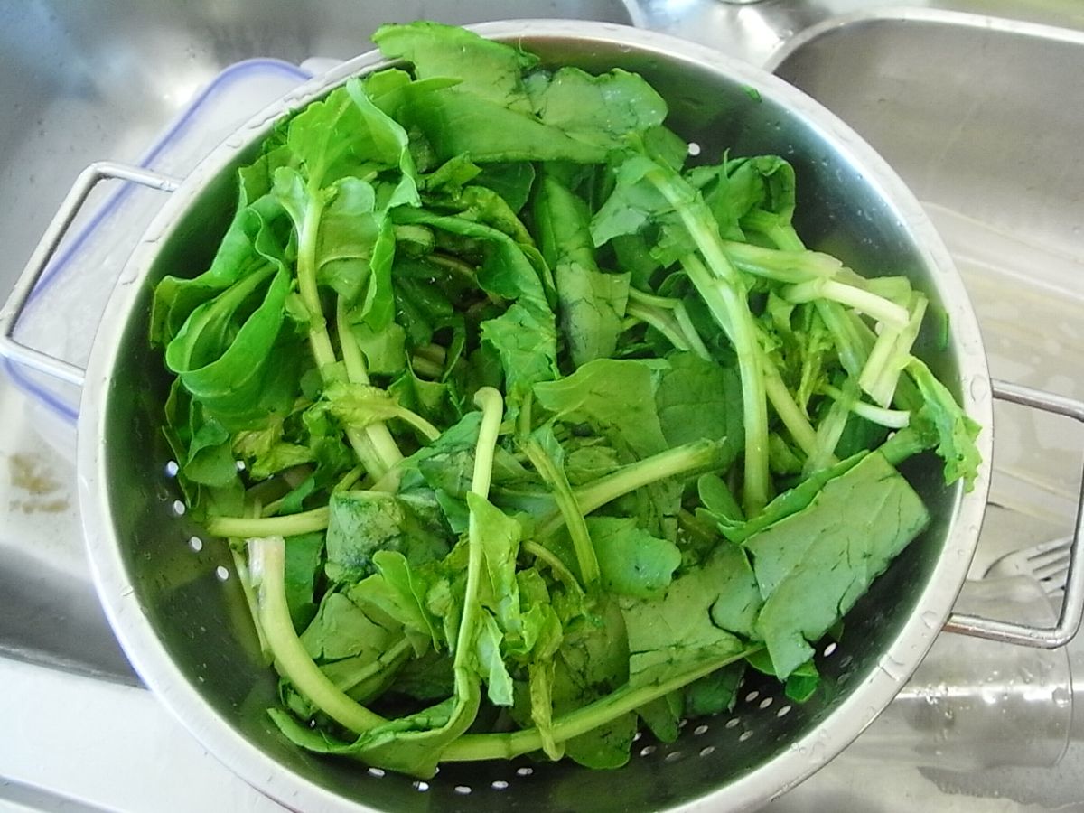 Fresh spinach in a colander in a sink about to be washed 