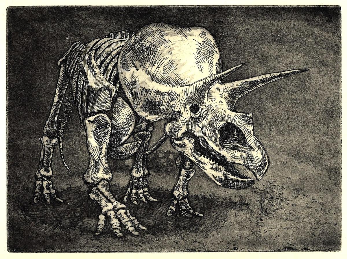 A drawing of a triceratops skeleton, done in black and white