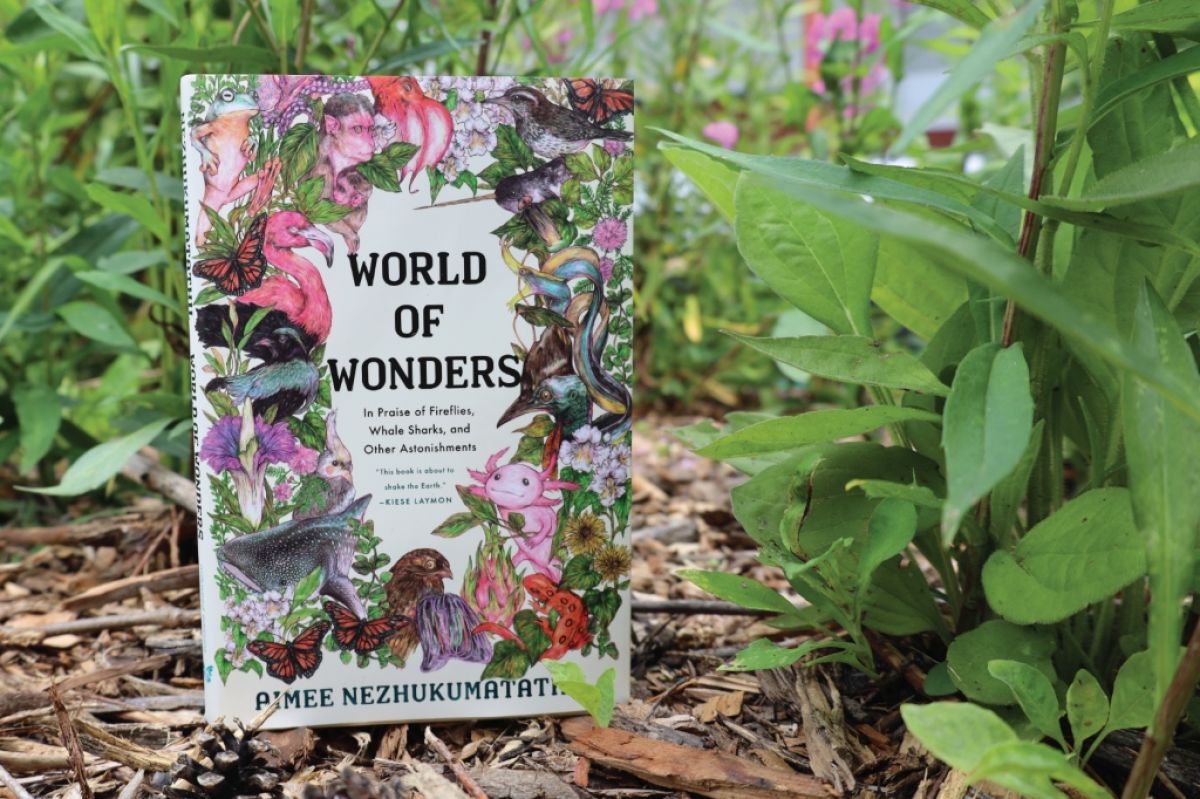 Worlds of Wonder book