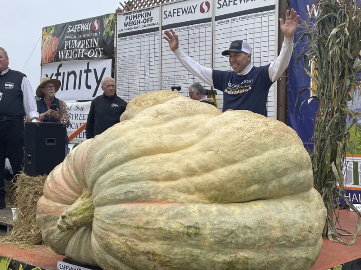 A 2,560-pound pumpkin