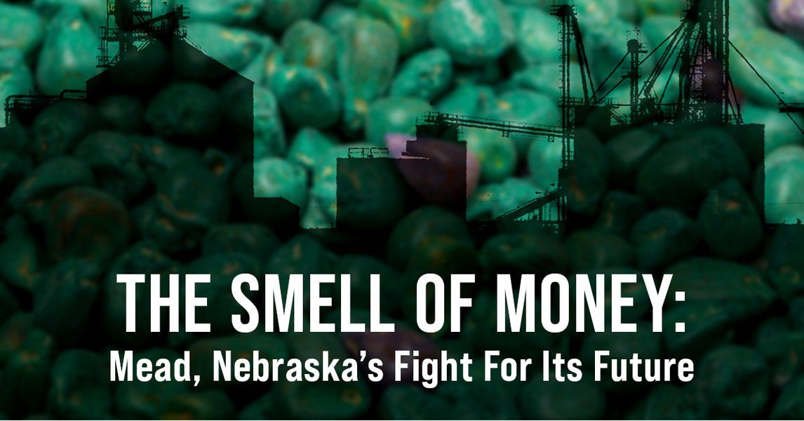 a graphic of grain silos agains a close up of corn seeds coated in green says "The Smell Of Money: Mead, Nebraska's Fight For It's Future