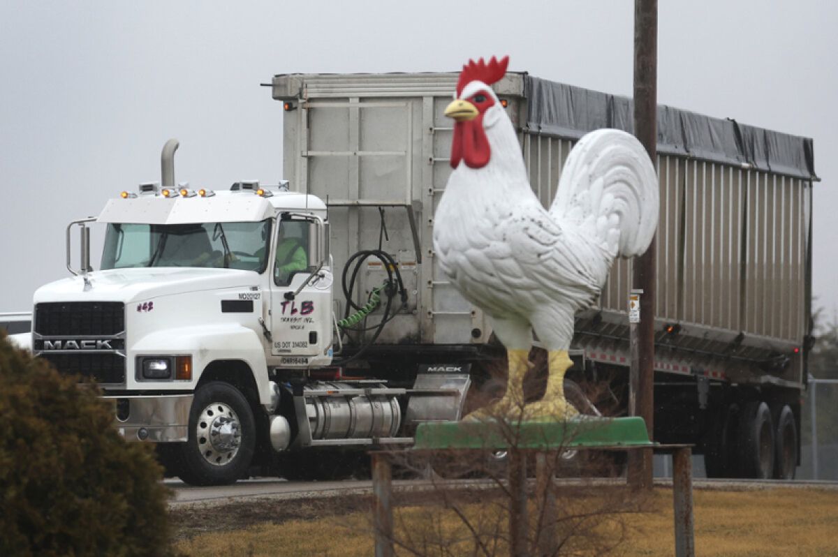 A truck driving bast a rooster statue