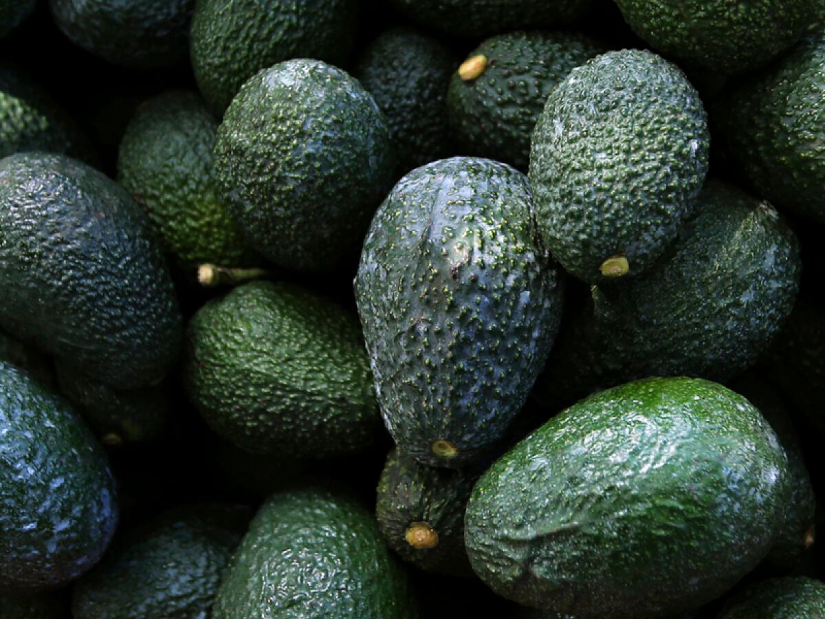 Avocados imported from Mexico