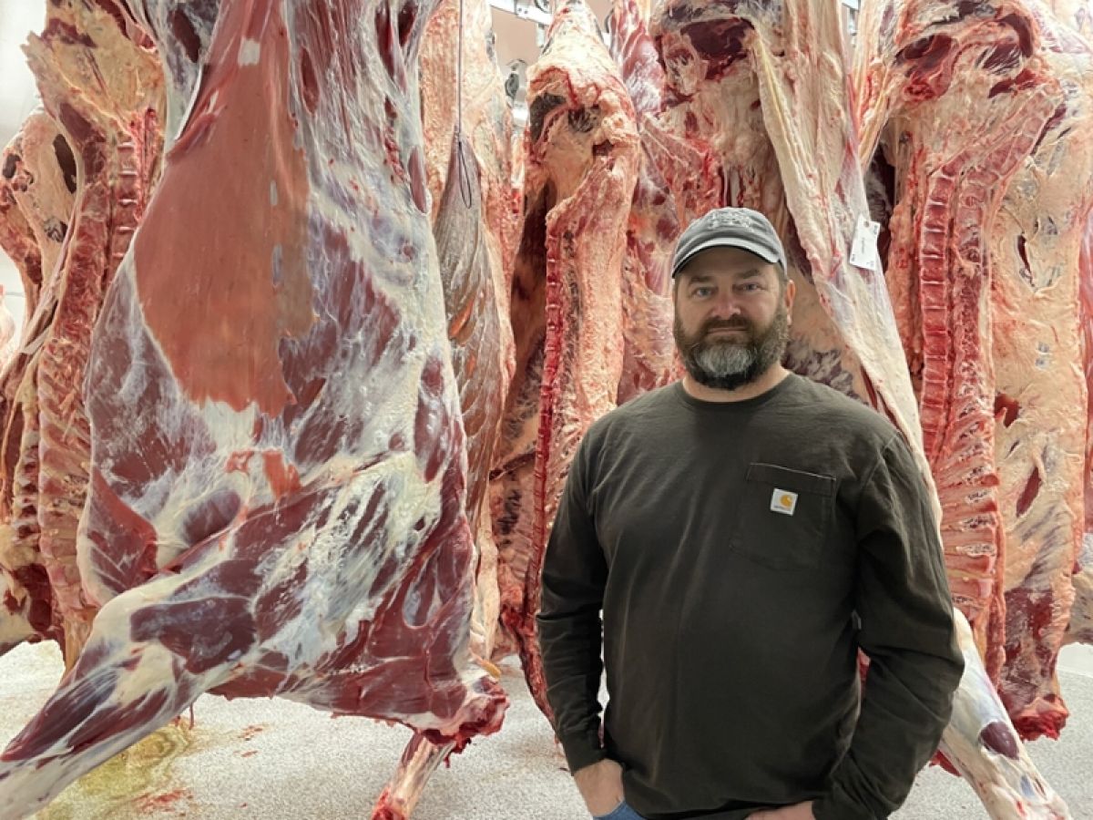 Brian Lane standing infant of a wall of cow carcasses