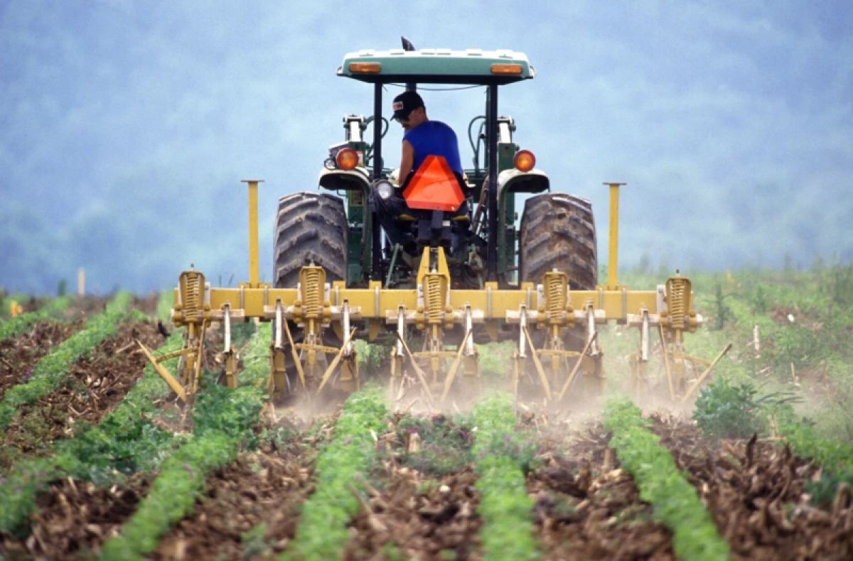 Tractor plowing a field