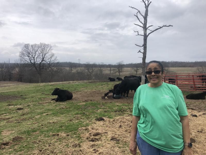 Drusilla James in t-shirt and sunglasses standing near a field with cows in the background on a cloudy day