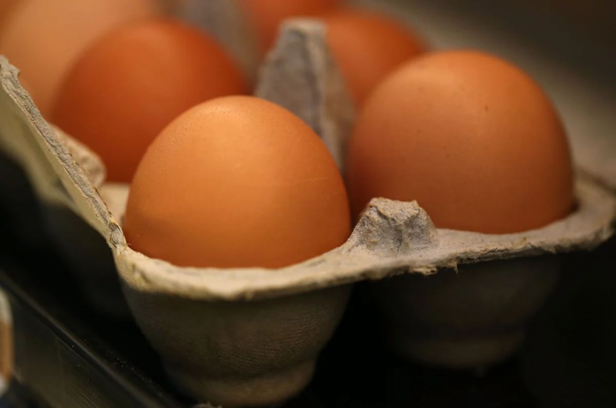 A carton of eggs