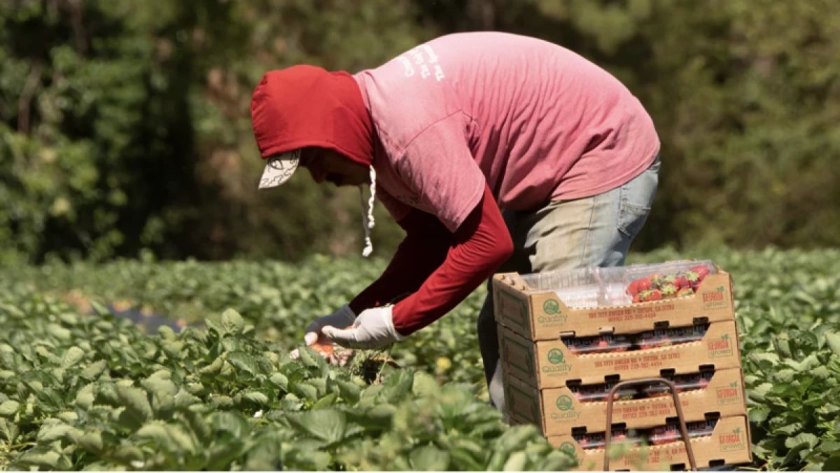 Farm worker