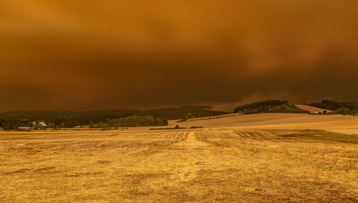 Landscape of dry farmland with orange-brown sky