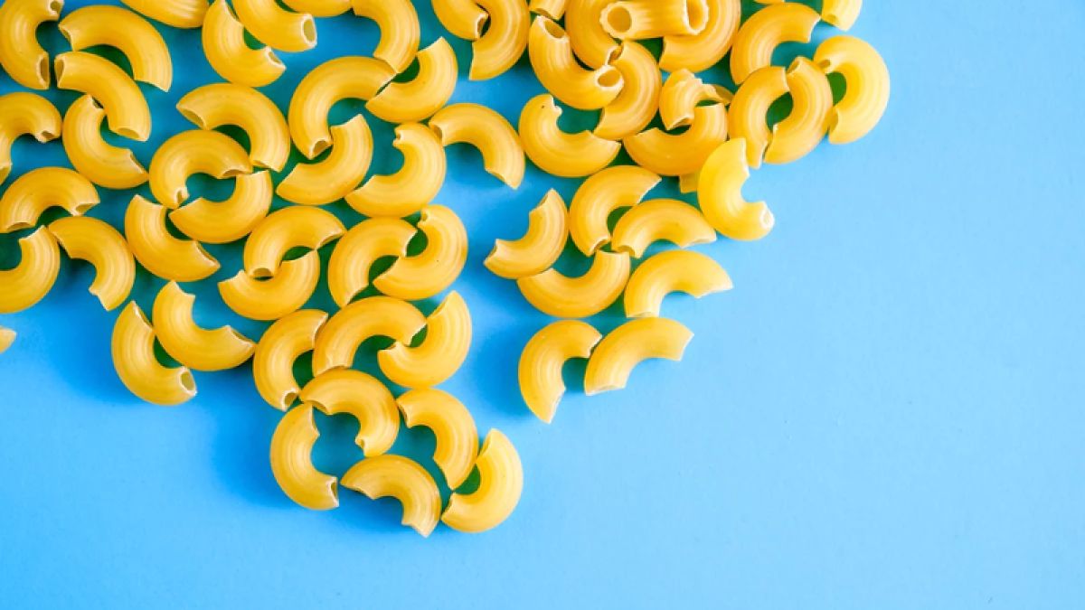 Macaroni noodle