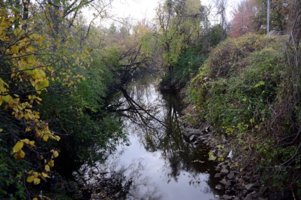 Coldwater Creek