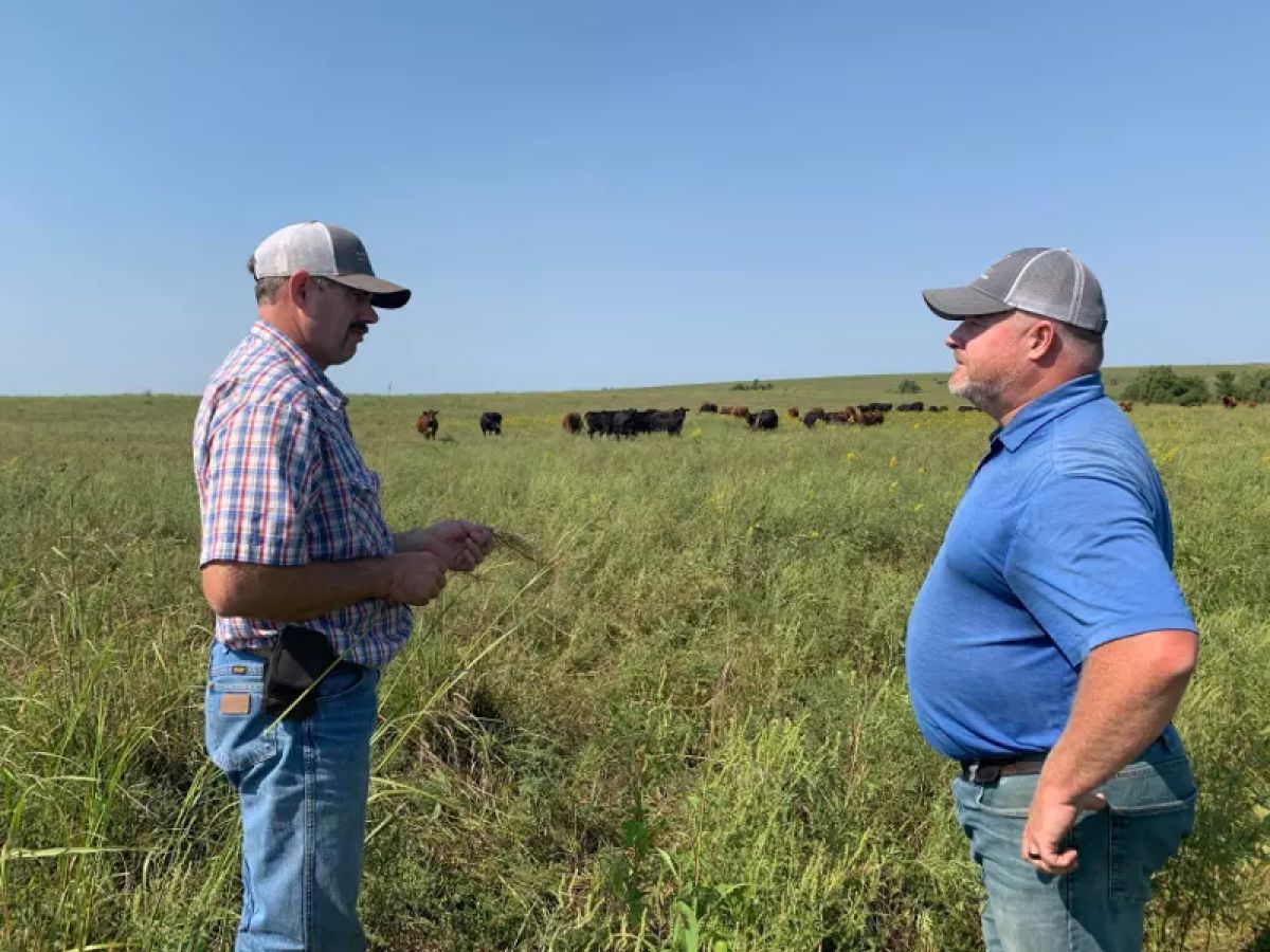 Rancher John Dueken and Kent Wamsley grazing cattle 