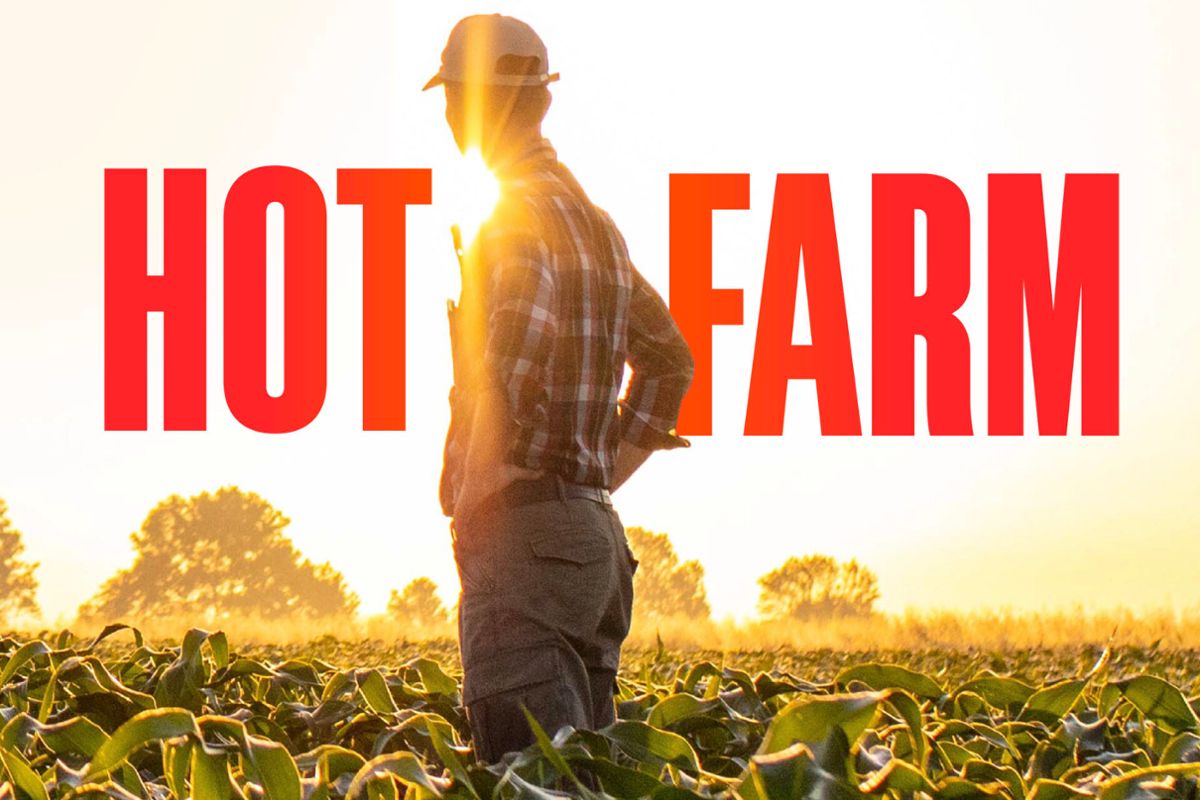 Hot Farm in bold red letters with a photo of the back of a man in plaid with a ballcap looking towards a sun standing in a field of corn plants
