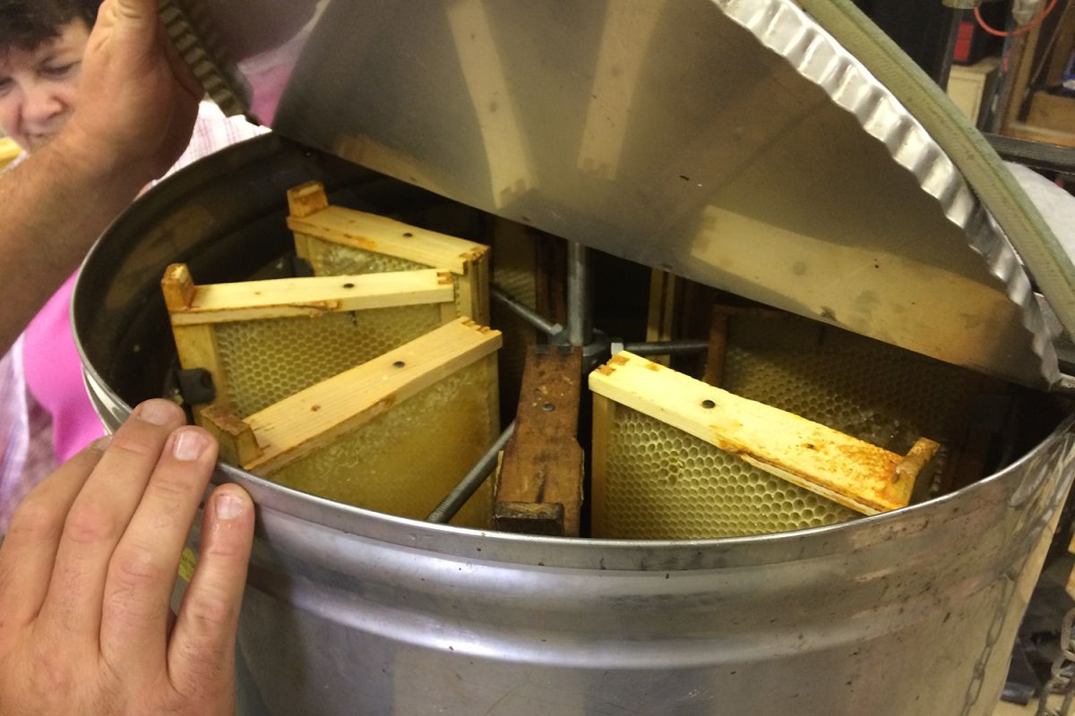 A view from the top of the inside of a honey extractor, a stainless steel barrel with honeycomb frames installed like spokes on a wheel
