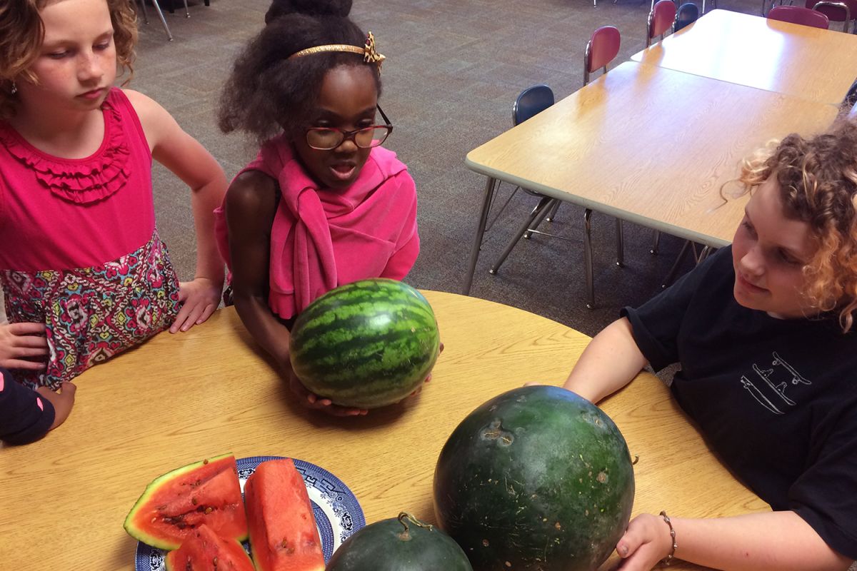 overhead view of kids around a table with whole watermelon and cut watermelon