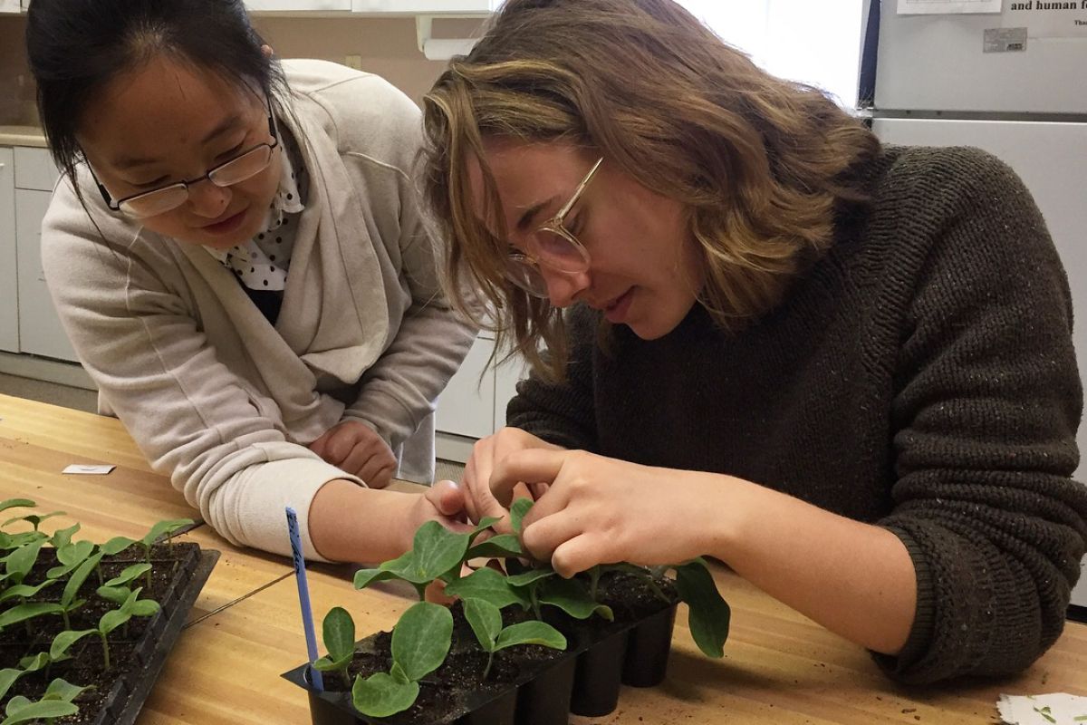 Wenjing Guan pointing to a sprout in a tray of seedlings on a table with Liv Carlton