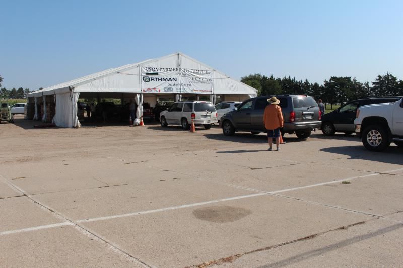 A distanced shot of a large tent with a line of cars heading into the tent and a person standing outside