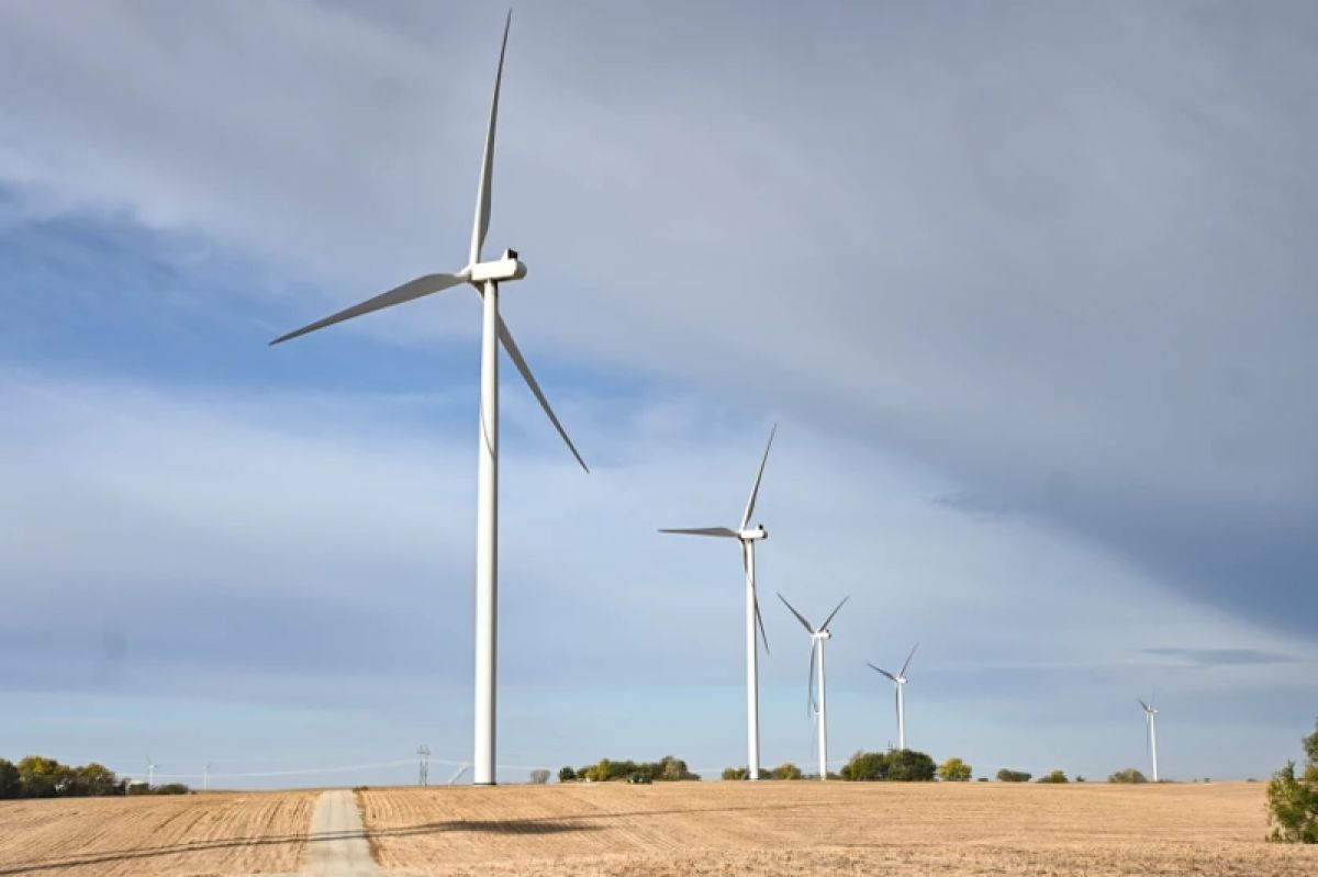 A wind farm