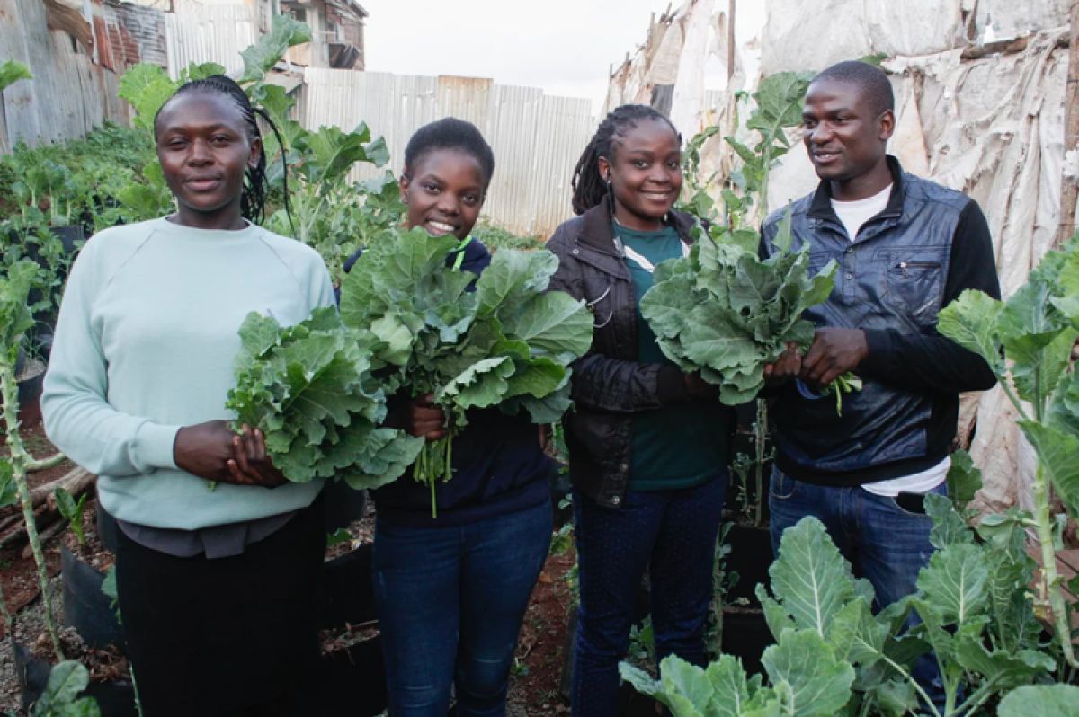 Four urban farmers in the garden