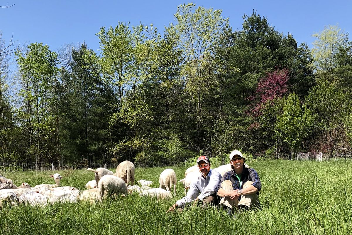 Nate and Liz Brownlee sitting in long green grass in a field with white sheep nearby and trees, include a redbud in bloom, in the background with blue skies