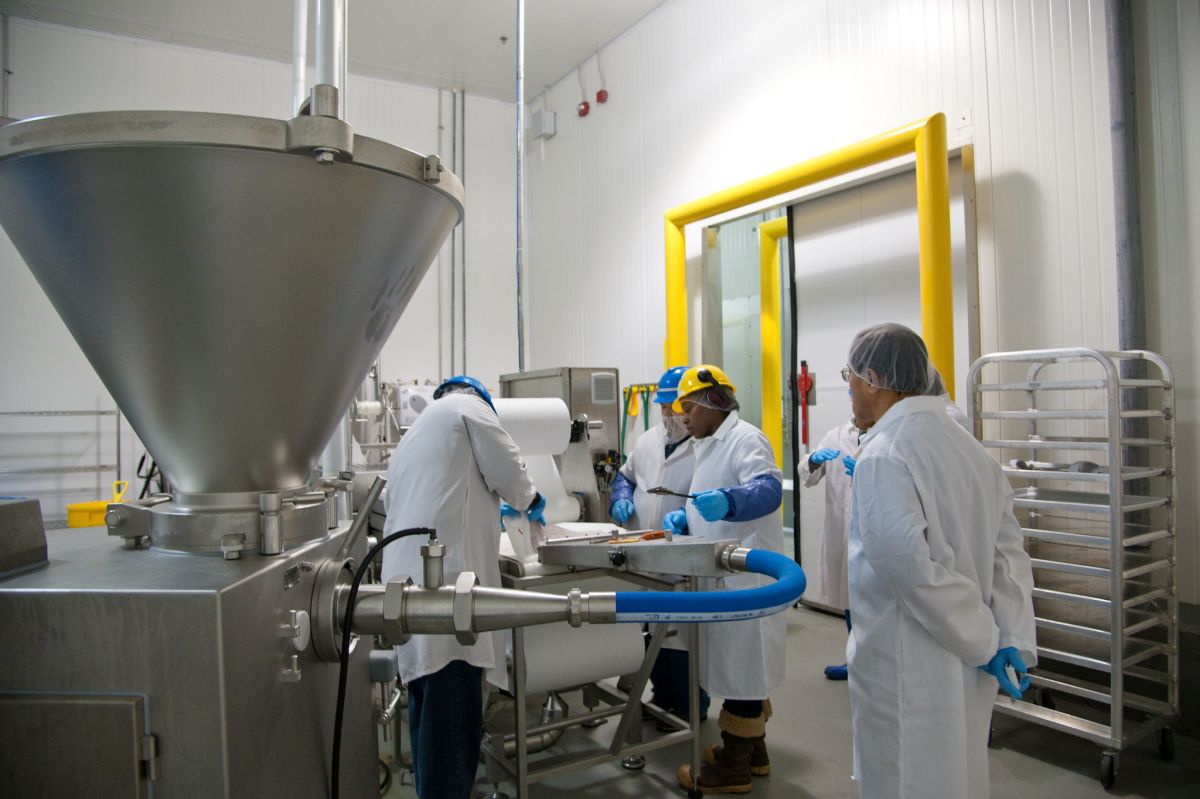 Workers in white coats, blue gloves, yellow and blue hard hats work at a large stainless steel machine with a hopper, a pipe and a chute, in a large room with white walls. 