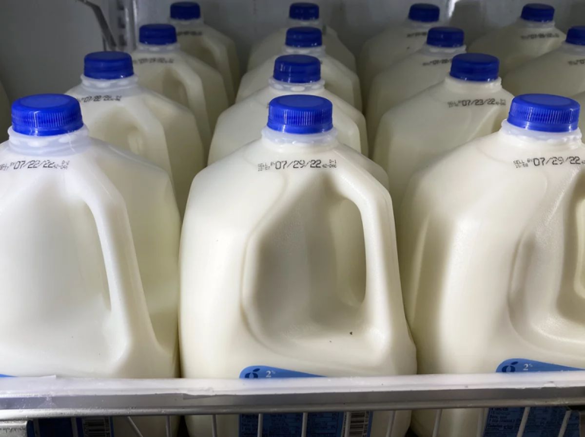 Milk at a grocery store