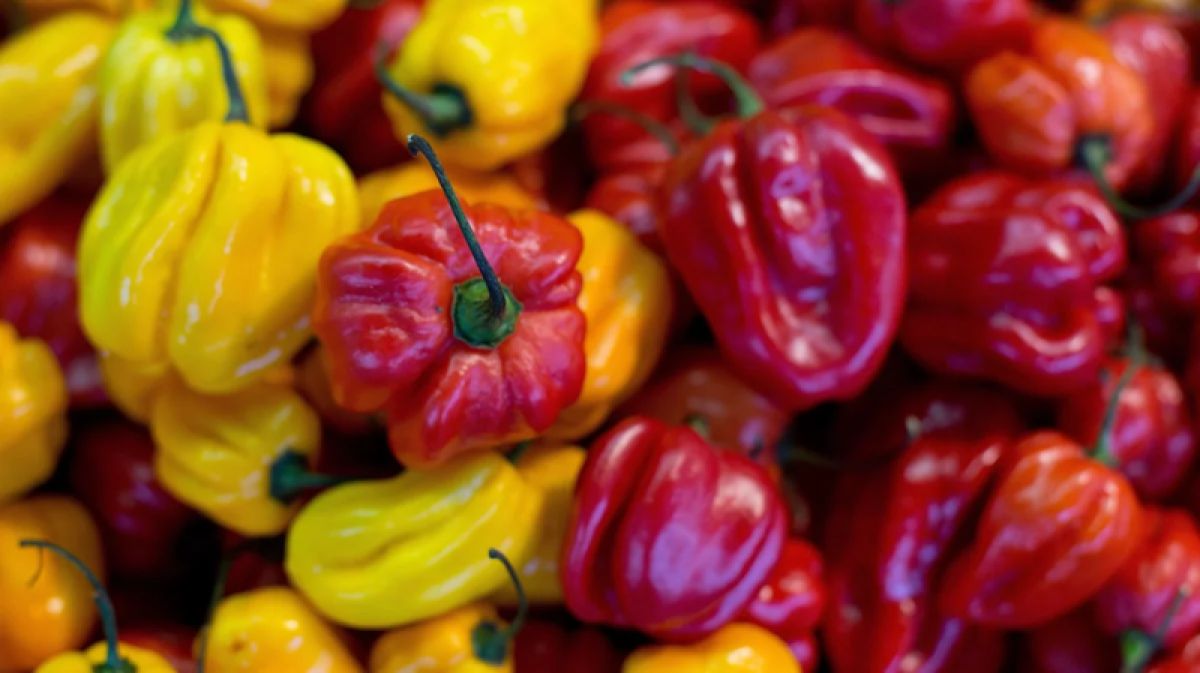 Spicy Peppers