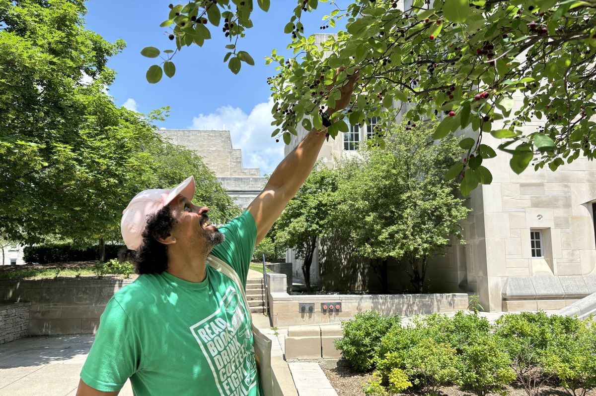 Ross Gay outside, reaching up to pick berries  from a tree branch. Limestone buildings and blue skies in the background