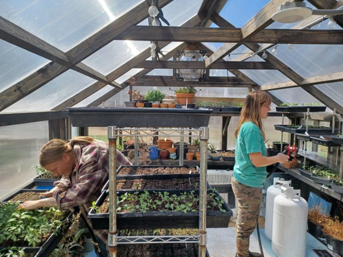Two people working in a community greenhouse