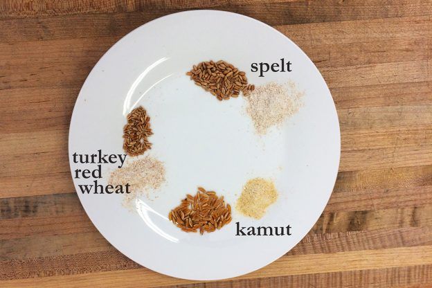 A white plate with three different grains, whole and ground, labeled: kamut, spelt, turkey red wheat.