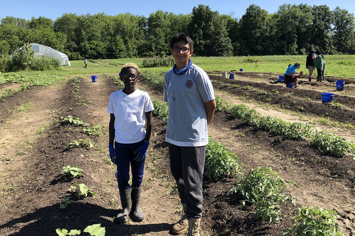 Zion Moore and Jason Rosales Harms standing in between rows of vegetables on a farm. Hoop house and other farmers are visible in the background. 