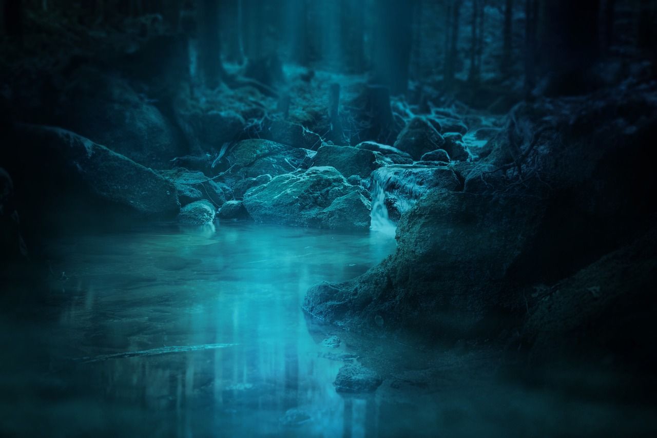 Forest scene from fantasia