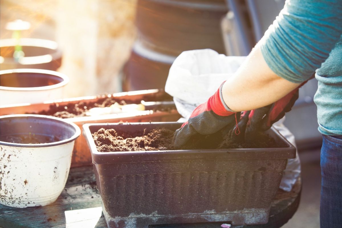 Preparing gardening containers with new soil