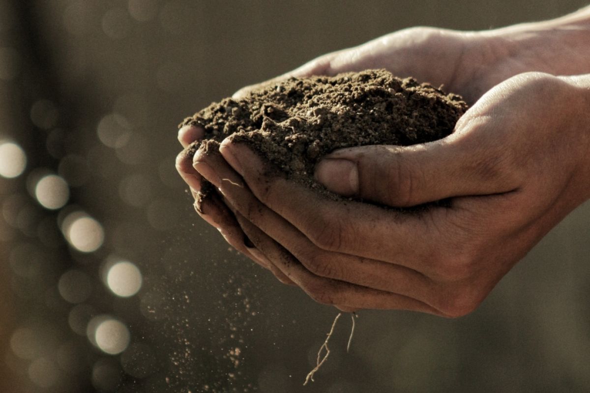 Hands holding soil