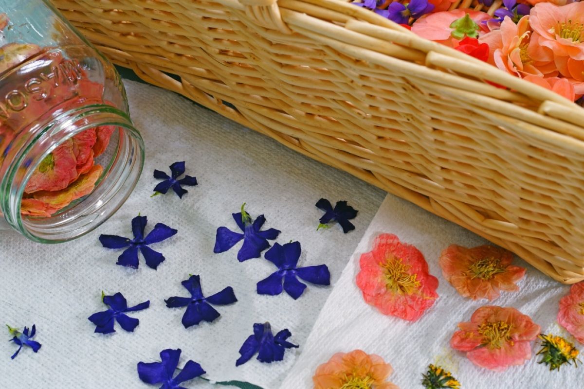 Flowers dried in the microwave