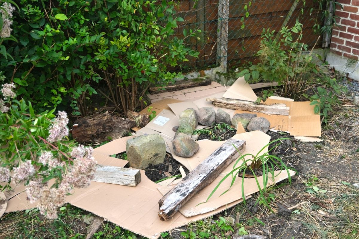 Cardboard on flower bed to smother weeds