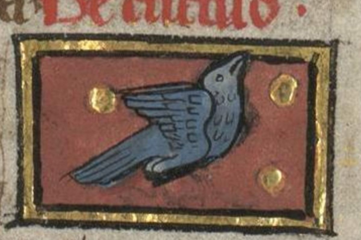 Cuckoo bird flying. Illustration from a 13 c. manuscript