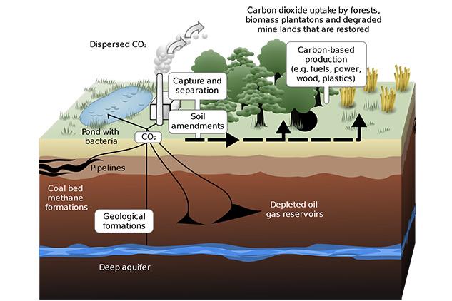  Ways carbon dioxide can be sequestered on land and underground. 