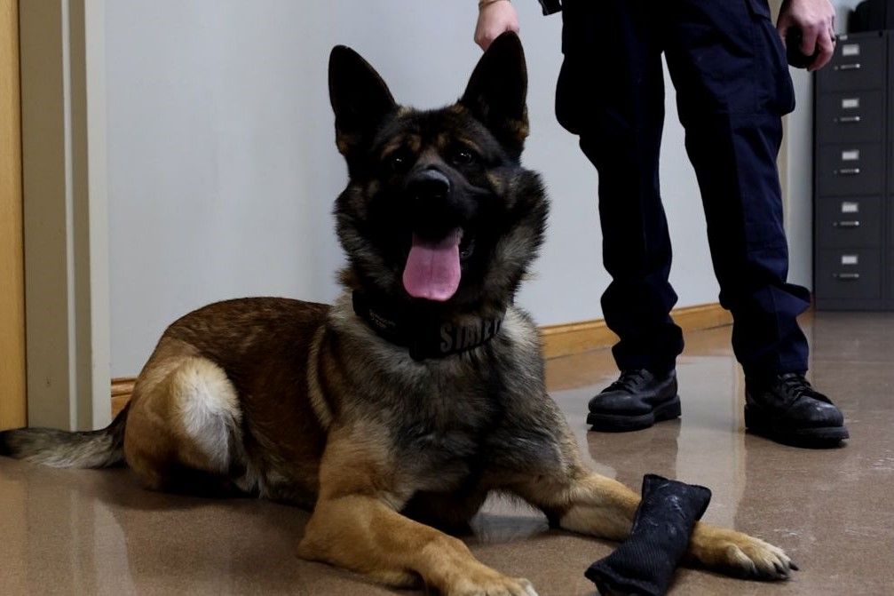 K-9 Noble poses for the camera at the Indiana State Police Bloomington post