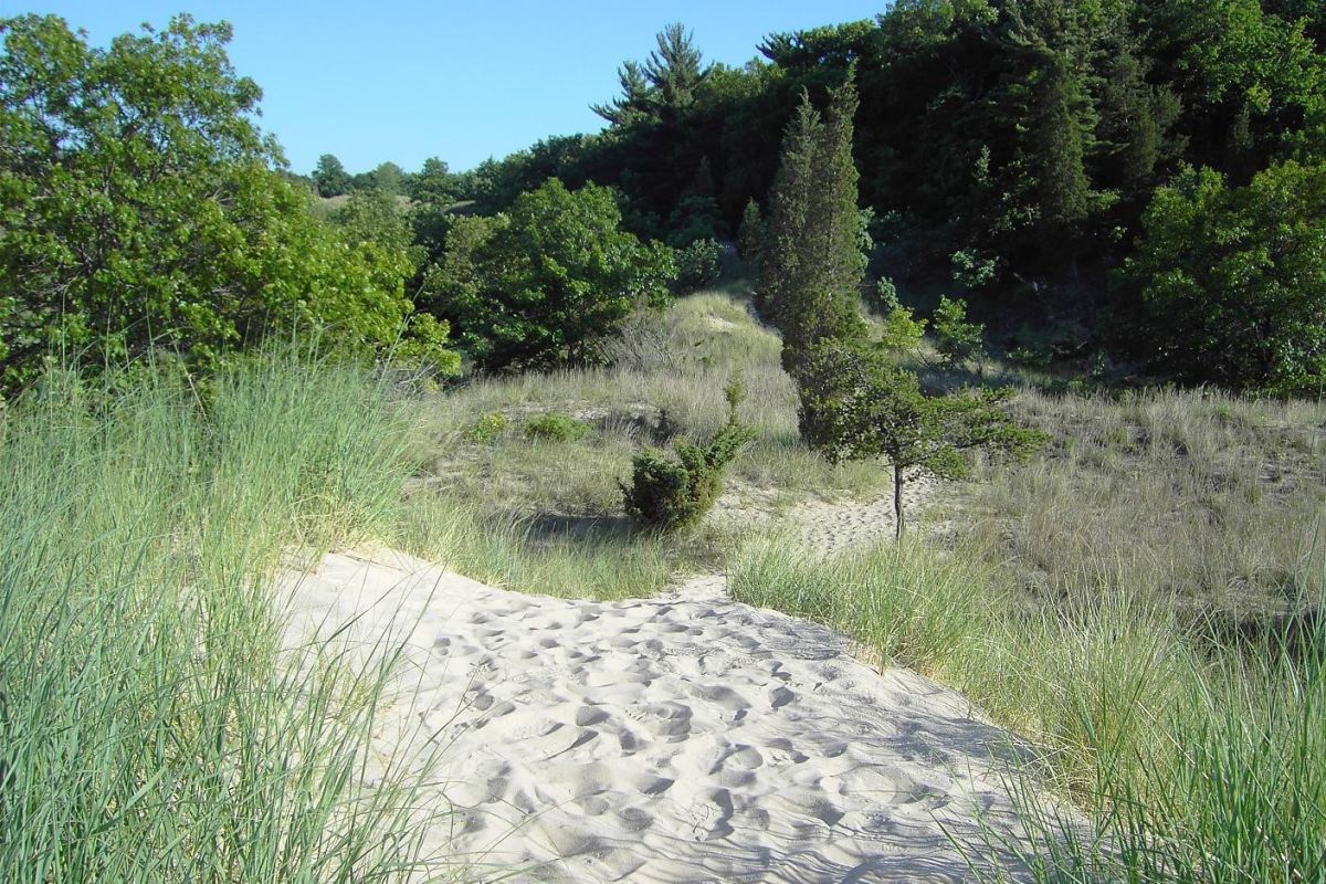 Indiana_Dunes-State-Park-02.jpg