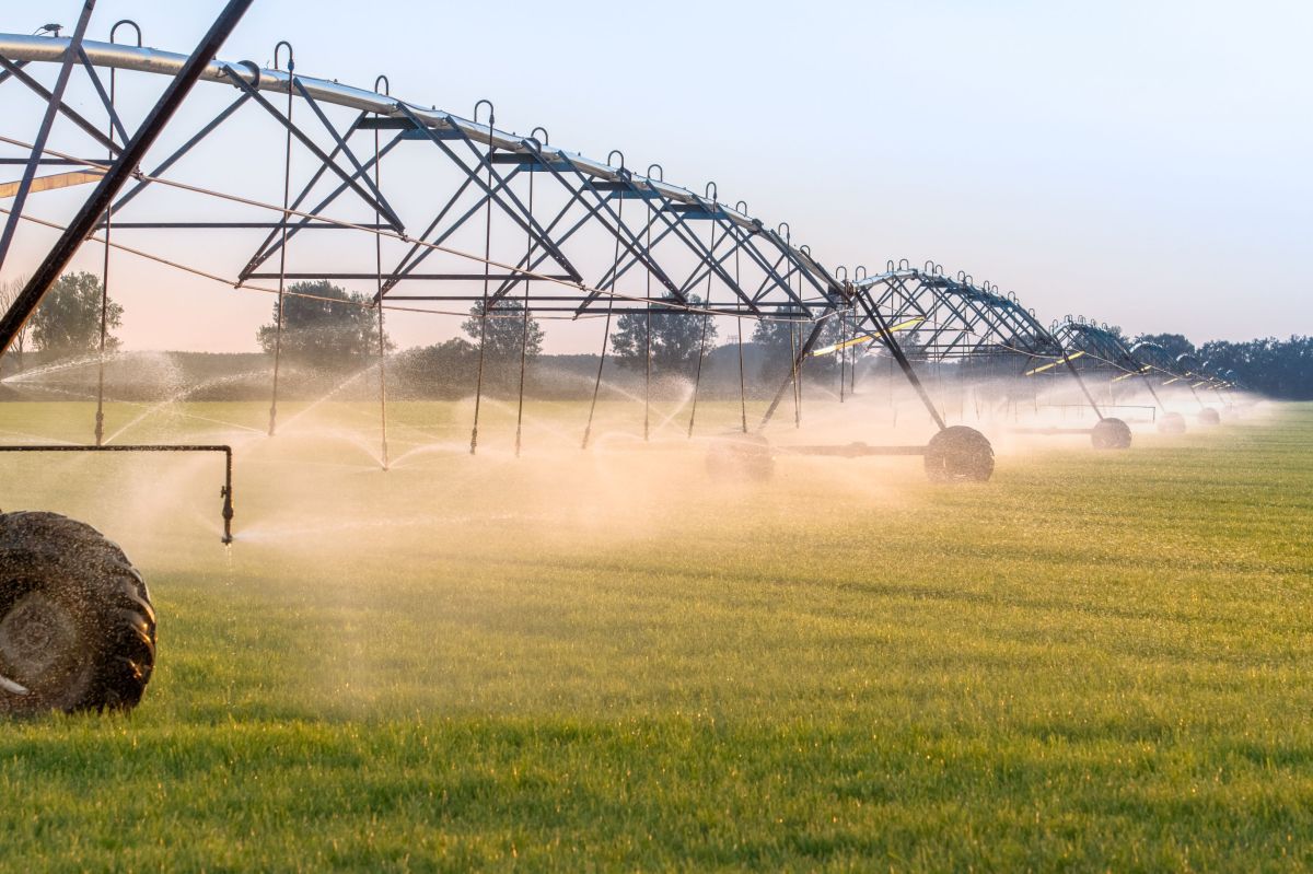 Irrigation system for agriculture, in order to promote the growth of plants in case of large and prolonged heat. Concept: agriculture or water supply