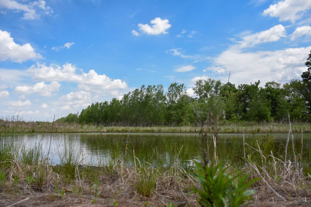 Starke County wetland