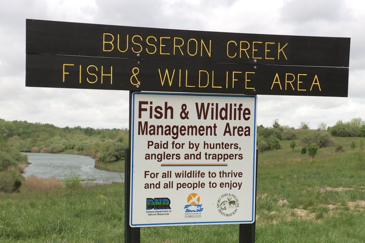 Busseron Creek