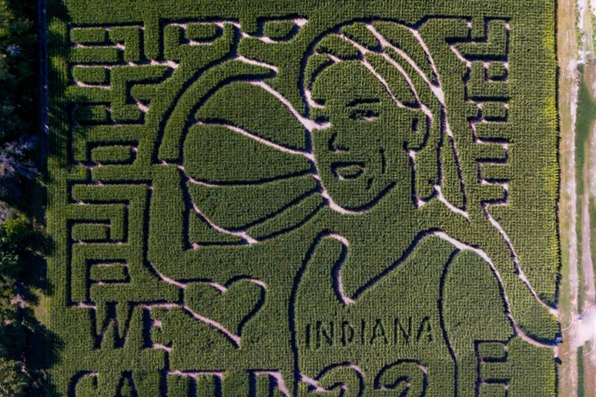 This year’s corn maze at County Line Orchard features a design of Indiana Fever’s Caitlin Clark.