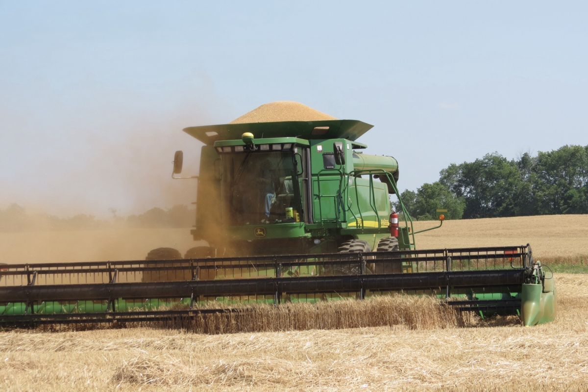 Combine in wheat field