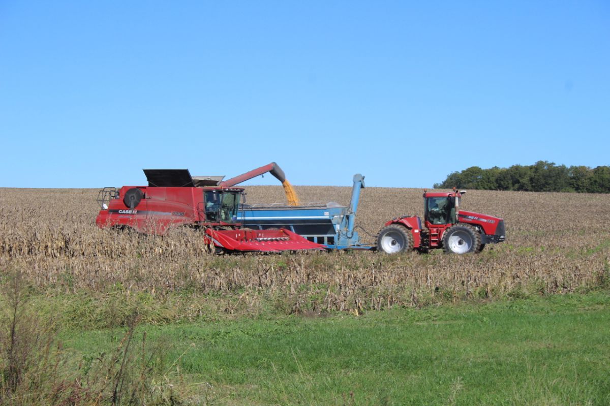 corn harvesting biofuel agriculture