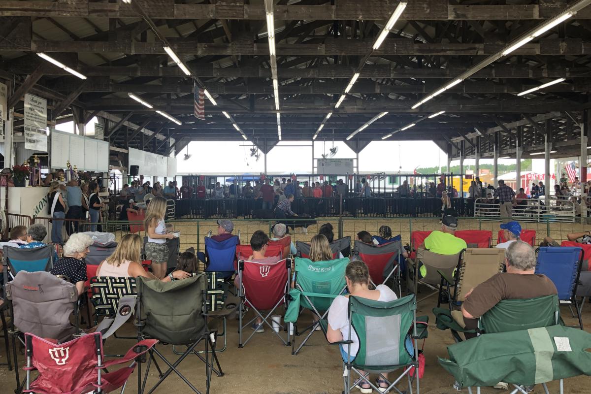 Monroe County Fair Returns With Livestock Shows news Indiana Public
